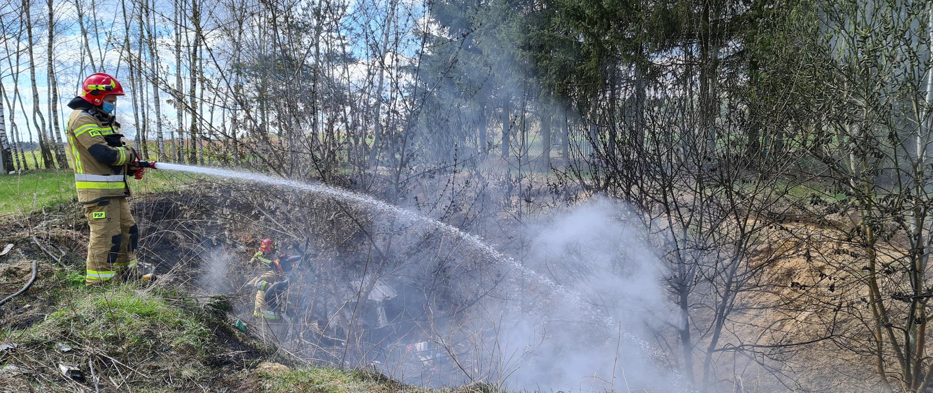 Zdjęcie przedstawia strażaka gaszącego palącą się trawę. Zdjęcie zrobione jest w dzień. Strażak ubrany jest w piaskowy strój, stoi na górce, a paląca się trawa i pozostałości roślinne znajdują się w dole. W dole znajdują się również 2 pracujący strażacy.