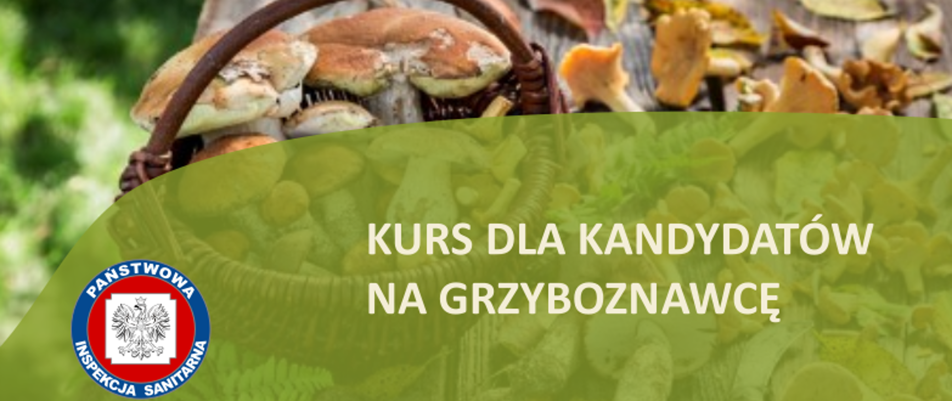 Kurs na grzyboznawcę