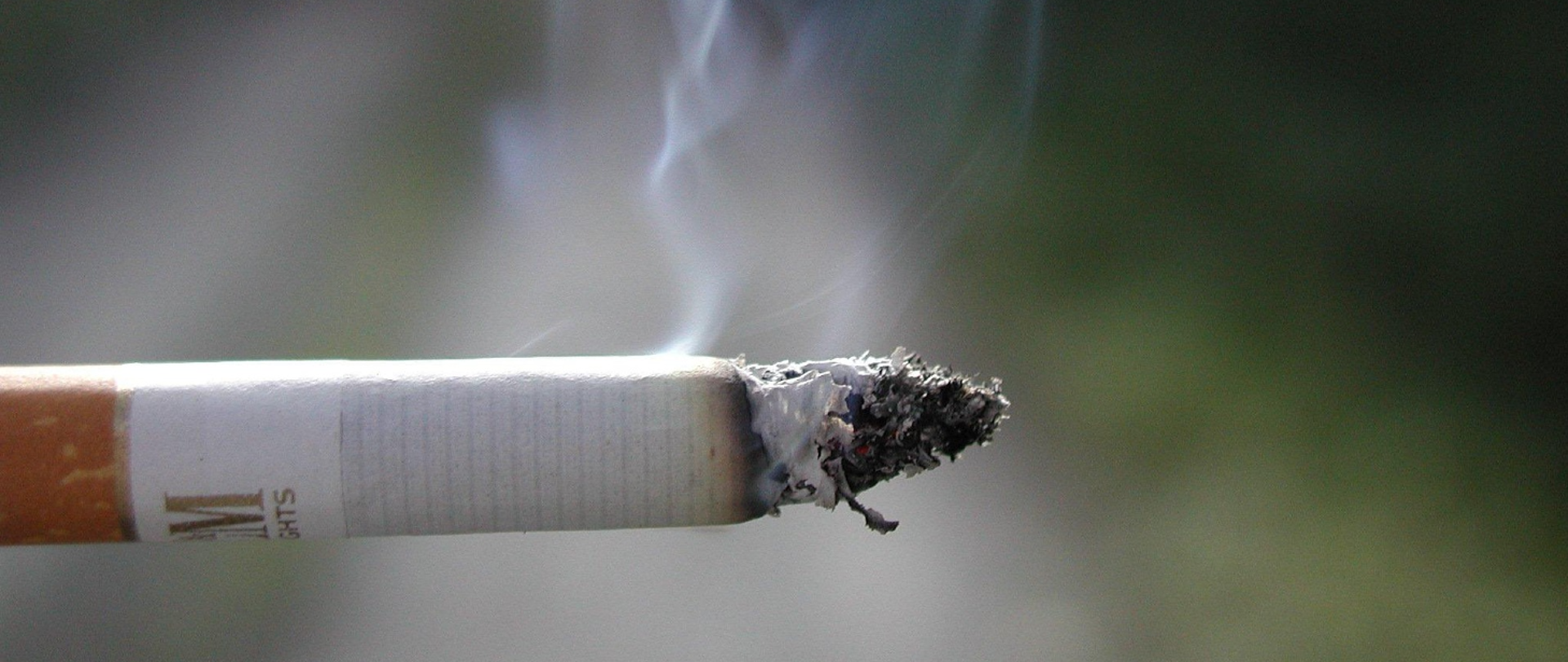 1440x616_dzien_bez_tytoniu