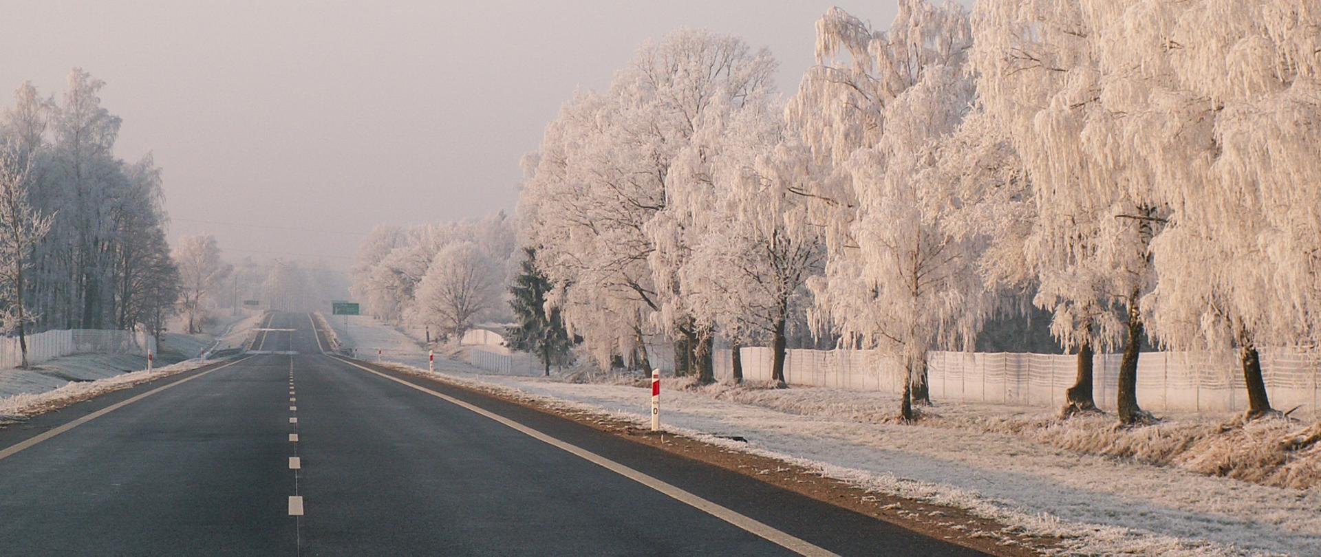 Prosta, asfaltowa droga biegnie w dal w zimowym krajobrazie. Po obu stronach niej rosną drzewa pokryte grubą warstwą szronu, tworzące jasną, biało–srebrną aleję. Lekko zamglone niebo i miękkie światło poranka lub popołudnia nadają scenie spokojny, niemal bajkowy nastrój. Pobocze i ogrodzenia również pokryte są delikatnym śniegiem, podkreślając zimową aurę. Droga wygląda na pustą i cichą, jakby cały świat na moment się zatrzymał.