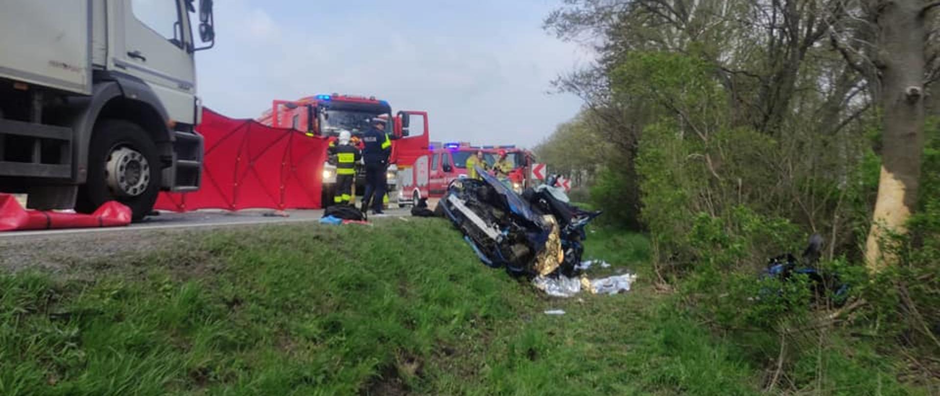 Interwencja strażaków na DK 35