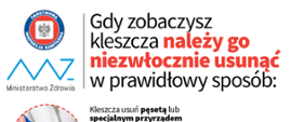 jak usunąć kleszcza
