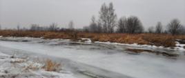 Pińczowscy strażacy uratowali 12-latka, pod którym załamał się lód na dopływie rzeki Nida 