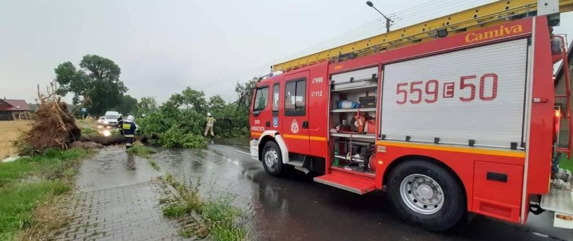 Zdjęcie przestawia pojazd pożarniczy na drodze oraz strażaków usuwających drzewo przewrócone na drogę.