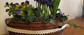 wiklinowy koszyczek z irysami, bratkami, żonkilami.