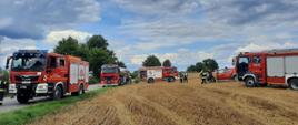 Na zdjęciu widnieją strażacy w trakcie działań gaśniczych na polu - trwa pożar ścierniska. Jest dzień, słonecznie. 