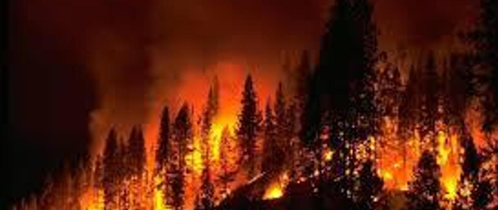 Požari u Crnoj Gori