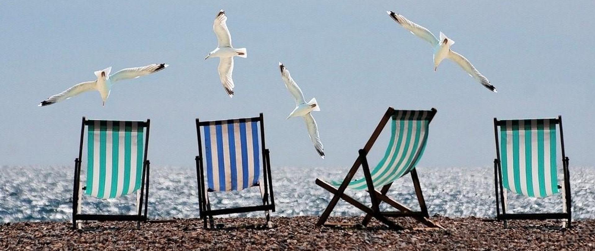 4 leżaki stojące nad brzegiem wody, nad nimi fruwające 4 mewy