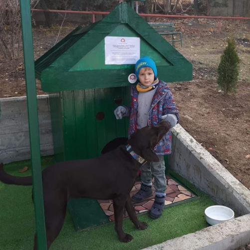 mały chłopiec stoi koło budy, obok chłopca pies