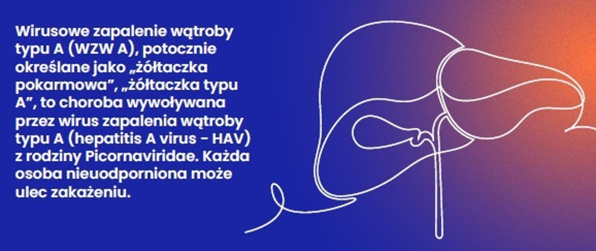 Grafika poglądowa WZW A