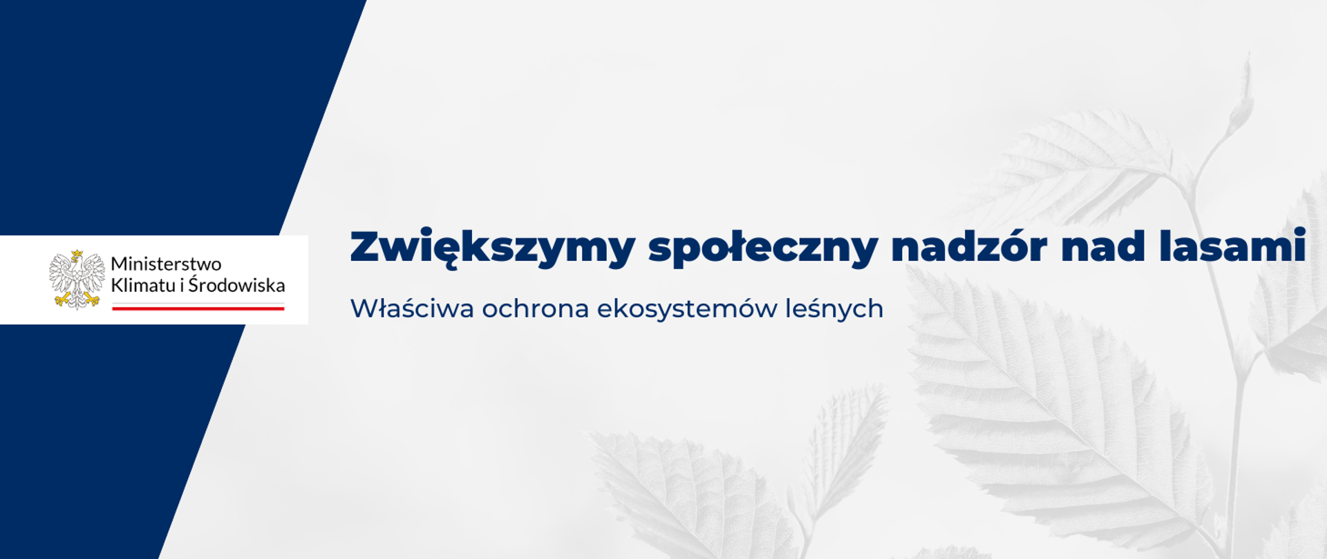 Zwiększymy społeczny nadzór nad lasami. Właściwa ochrona ekosystemów leśnych.