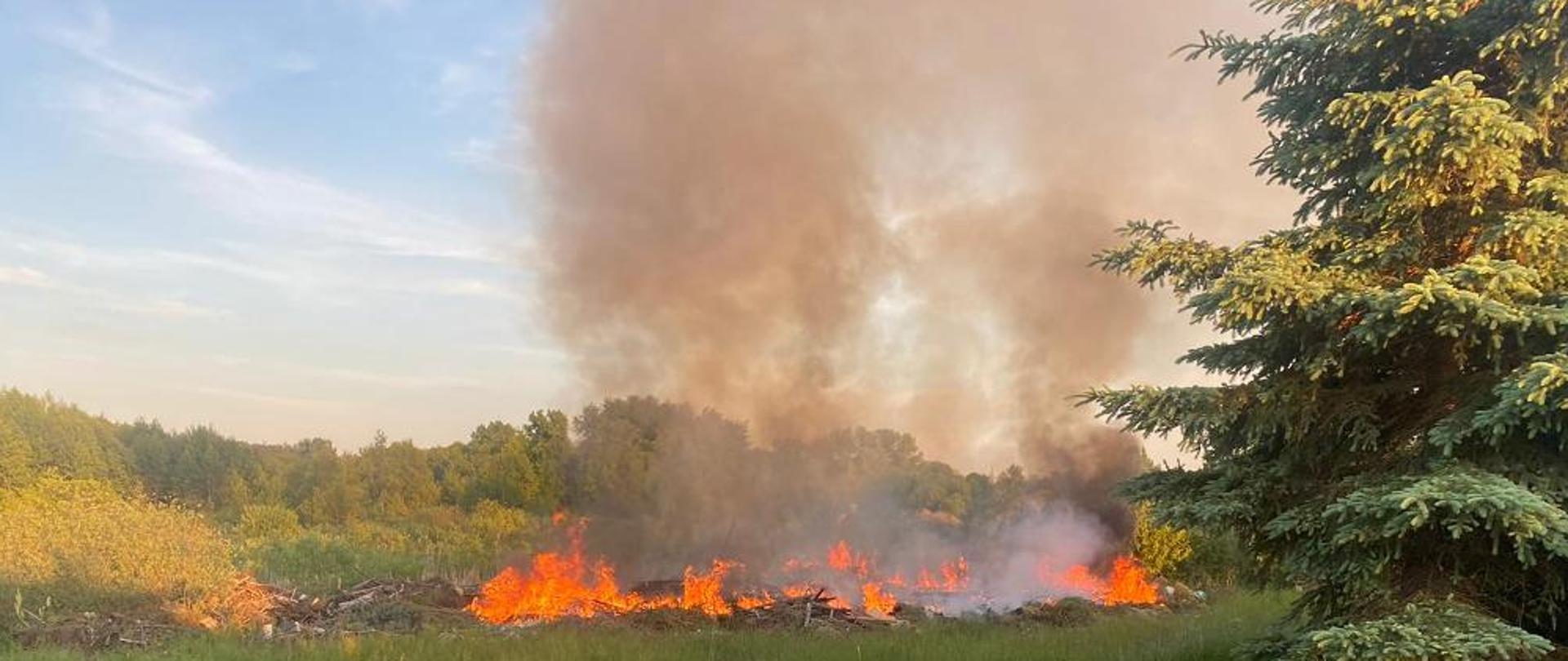 Pali się dzikie wysypisko odpadów.