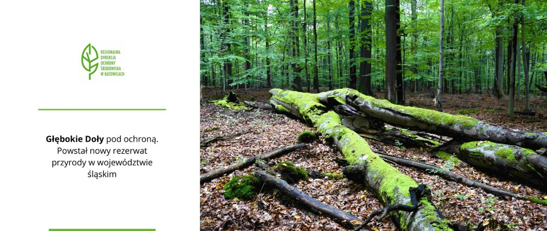 Na grafice przedstawiono fragment naturalnego lasu z powalonymi pniami drzew pokrytymi intensywnie zielonym mchem. W tle widoczne są wysokie drzewa liściaste oraz leśne runo pokrywające ziemię. Po lewej stronie umieszczono logo Regionalnej Dyrekcji Ochrony Środowiska w Katowicach oraz informację o utworzeniu nowego rezerwatu przyrody „Głębokie Doły” w województwie śląskim.