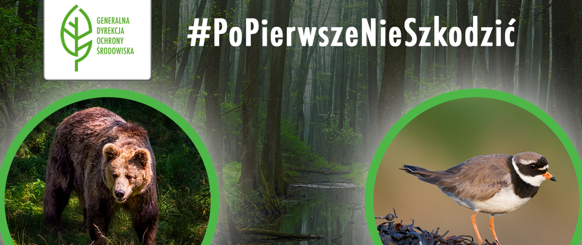 W tle widać las. Po lewej stronie w rogu logo Generalnej Dyrekcji Ochrony Środowiska (zielony liść), poniżej w zielonym kole zdjęcie niedźwiedzia brunatnego. Po prawej stronie, wpisana w zielony okrąg fotografia ptaka w gnieździe.