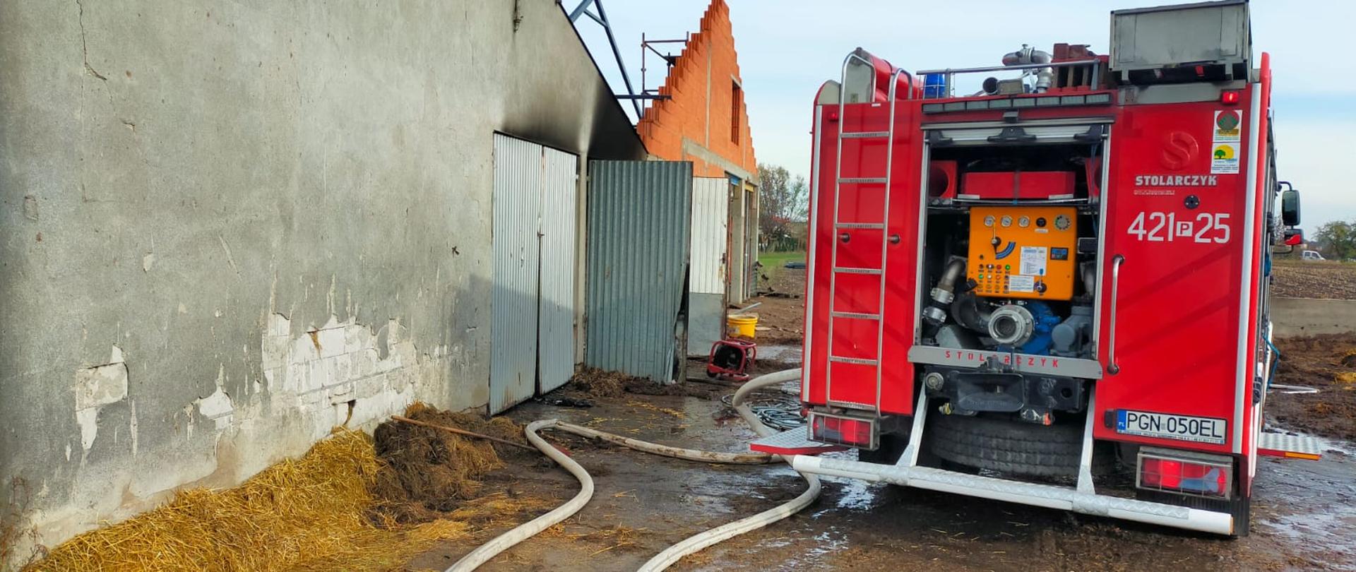 Na zdjęciu widać tył samochodu pożarniczego oraz linie wężowe poprowadzone do budynku inwentarskiego