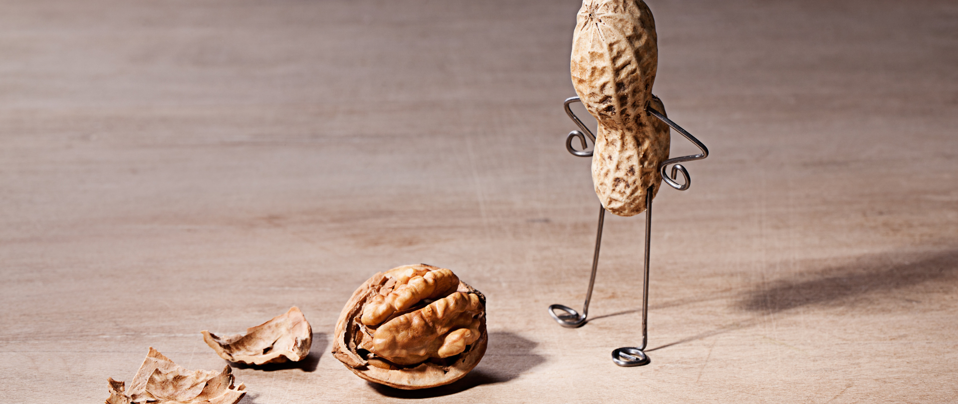 Orzeszek ziemny przygląda się orzechowi włoskiemu