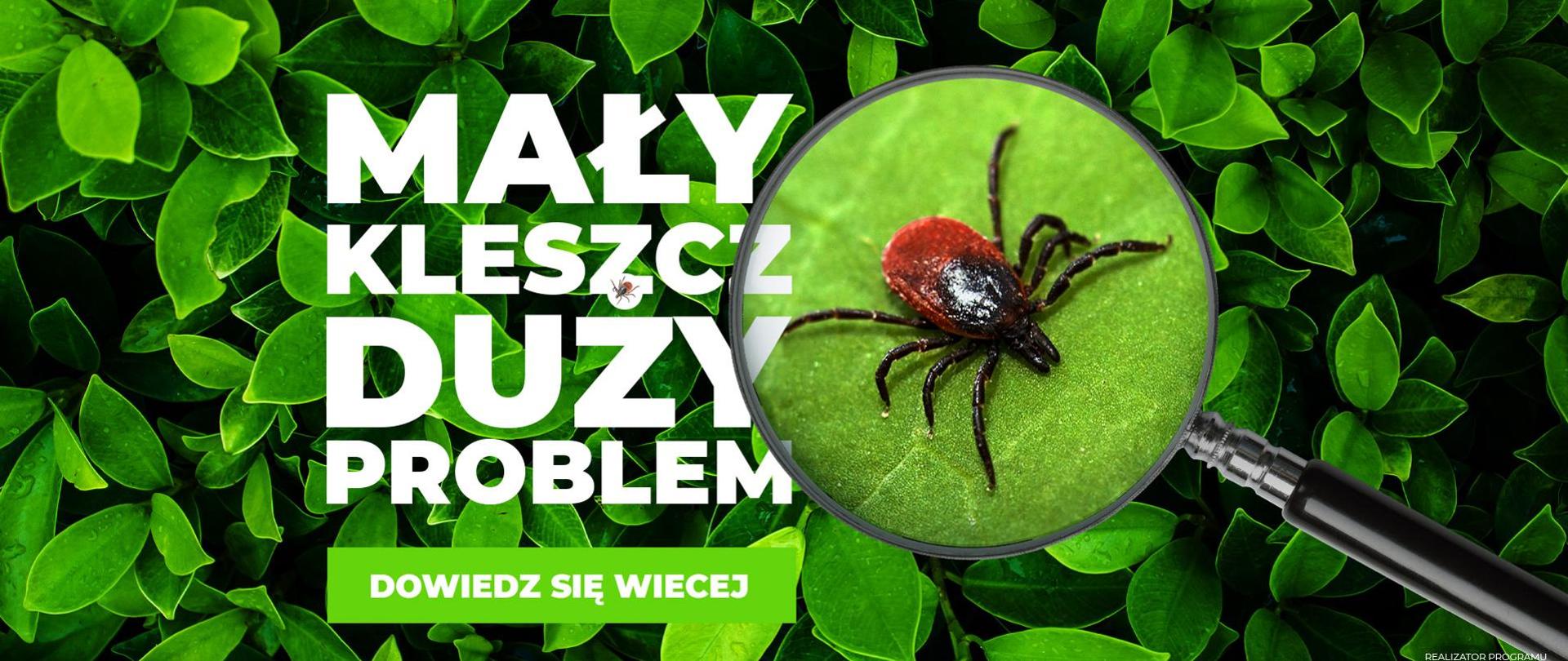 Na grafice widoczny jest napis Mały kleszcz duży problem, dowiedz się więcej. Po prawej stronie napisu widoczna jest lupa oraz kleszcz w przybliżeniu. W tle widać liście.