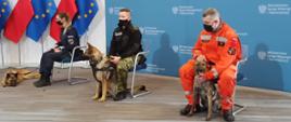 Na zdjęciu przedstawiciele służb mundurowych siedzących na krzesłach na niebieskim tle po lewej stronie flagi biało czerwone i unijne a przy mundurowych psy. Po prawej stronie strażak w pomarańczowym kombinezonie w środku w czarnym żołnierz, ze straży granicznej po lewej policjantka w stroju granatowym.