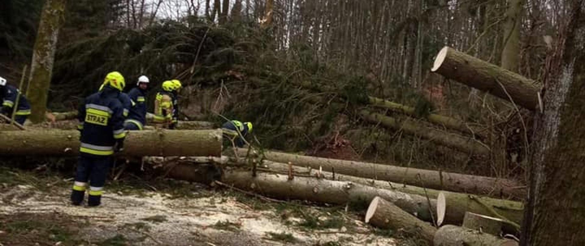 Zdjęcie przedstawia drzewo leżące na drodze, które tnie dwóch strażaków. Za drzewem stoi wóz strażacki w tle są budynki mieszkalne oraz drzewa.