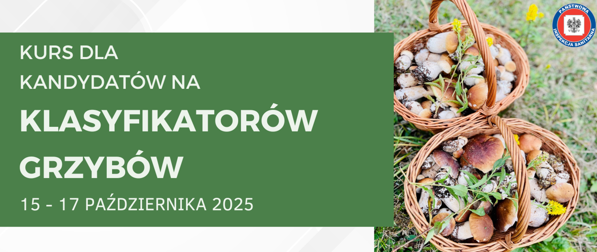 klasyfikator_grzybow_2025