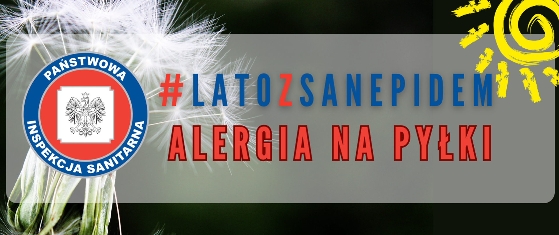 napis lato z sanepidem alergia na pyłki