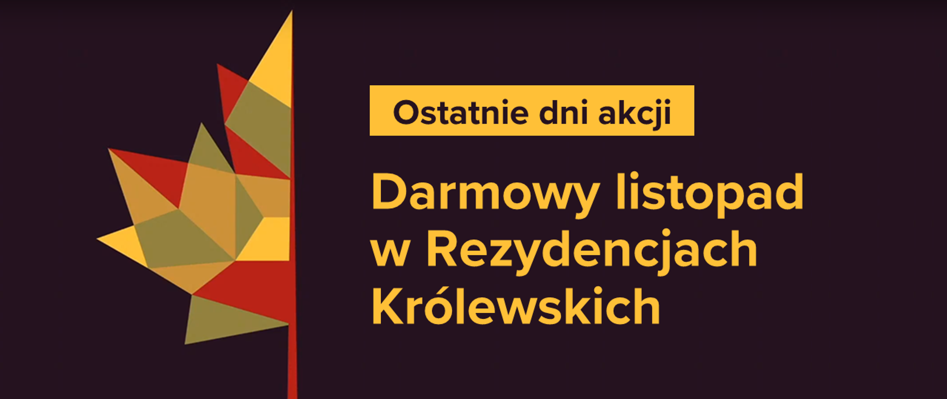 Czarne tło. Po lewej stronie połówka geometrycznego liścia klonowego. Po prawej stronie napis ostatnie dni akcji darmowy listopad w rezydencjach królewskich. 