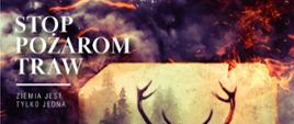 Prewencja społeczna - stop pożarom traw - Ziemia jest tylko jedna
