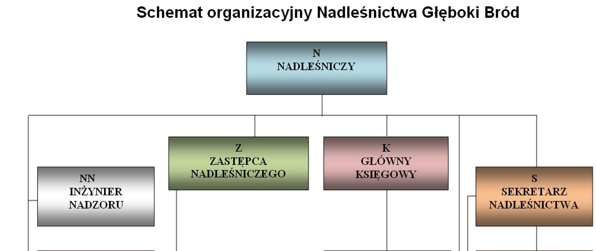 Schemat organizacyjny Nadleśnictwa Głęboki Bród w formie graficznej