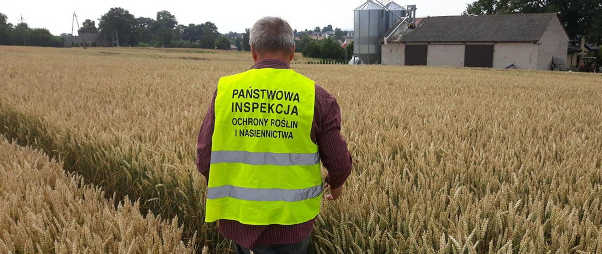 Zdjęcie nagłówkowe