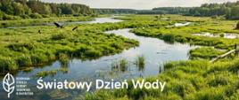Światowy Dzień Wody 