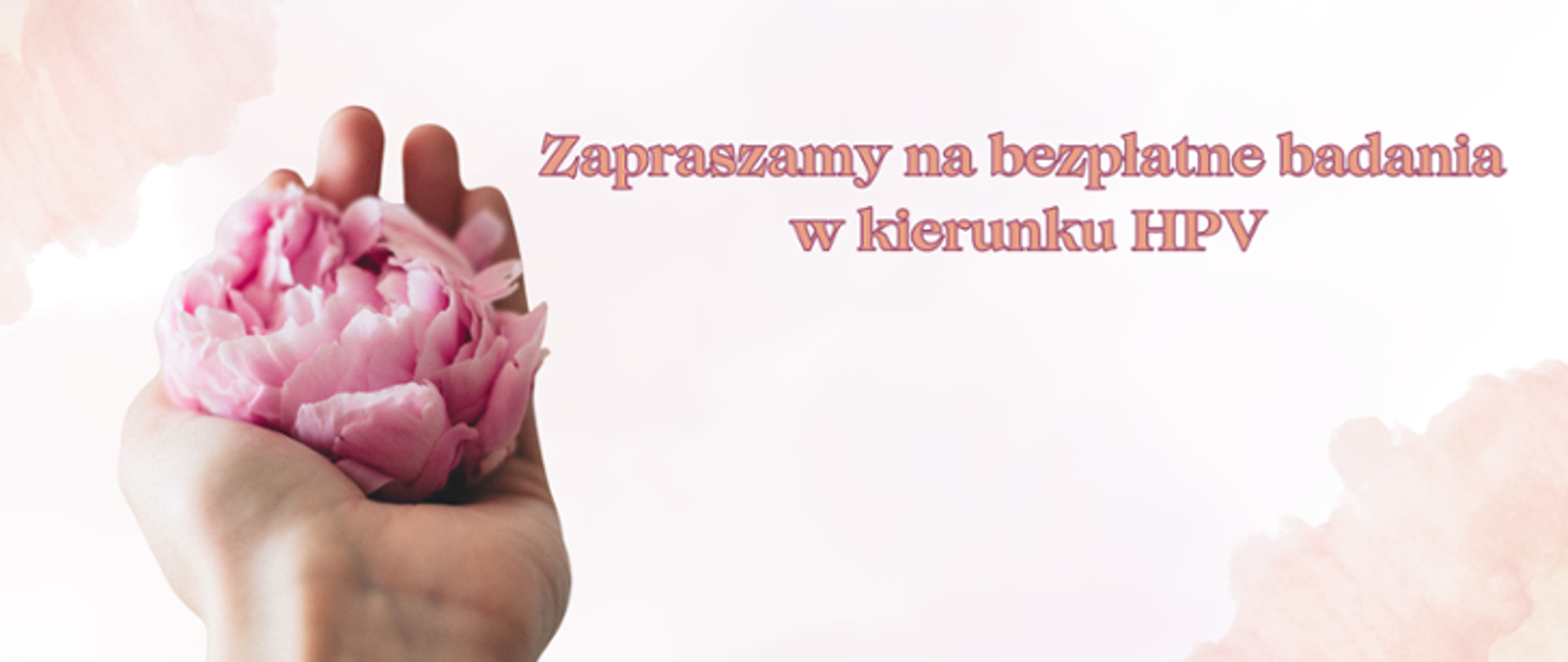 Dłoń trzymająca różowy kwiat piwonii 