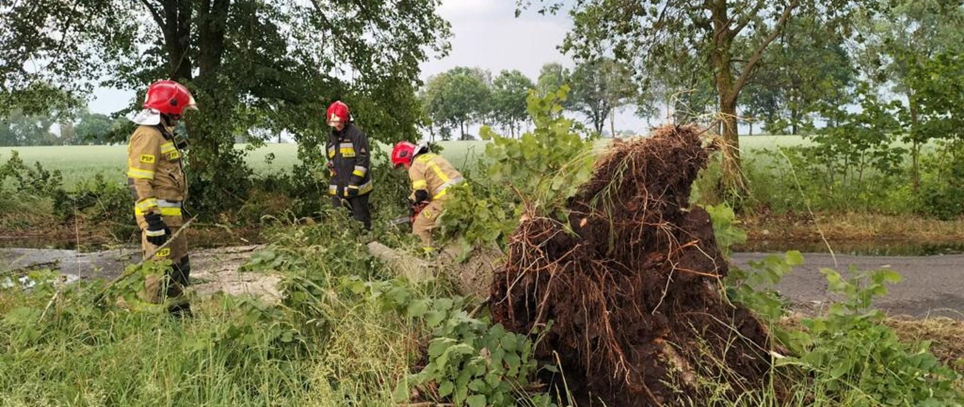 Strażacy usuwający powalone drzewo