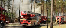 Na zdjęciu widok samochodów strażackich przy pożarze w lesie