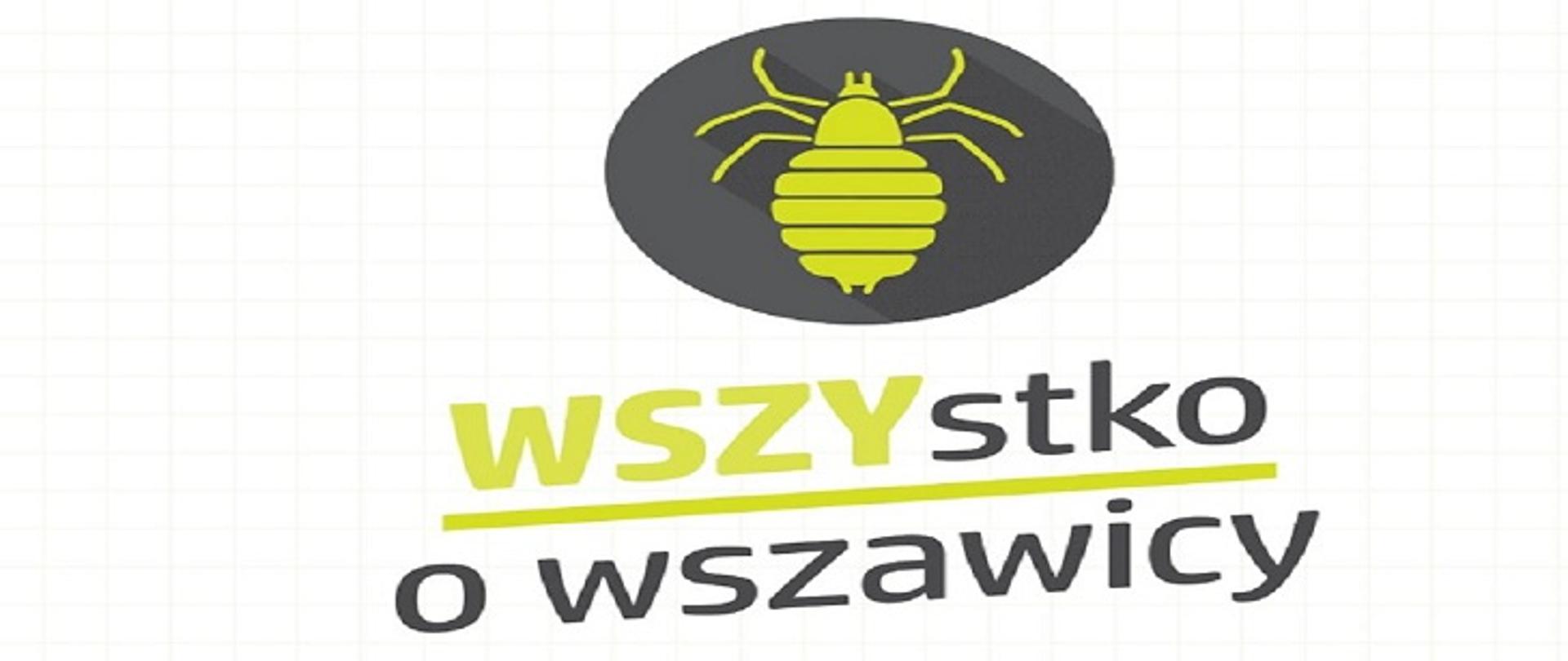 Wszystko_o_wszawicy_zdjecie_na_strone