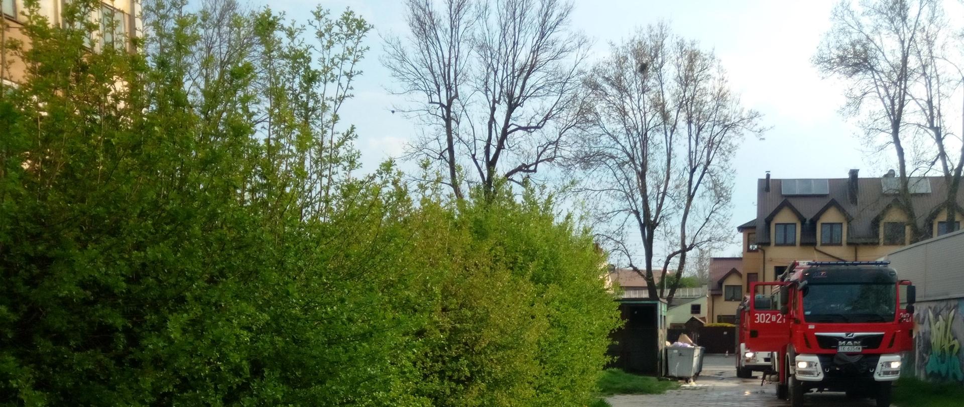 Na zdjęciu przedstawiono miejsce akcji ratowniczo-gaśniczej. Po lewej stronie stoją samochody pożarnicze, a po prawej, zza zielonych krzewów widać fragment budynku wielorodzinnego, w którym wybuchł pożar.