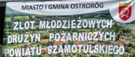 Napis Zlot Młodzieżowych Drużyn Pożarniczych z powiatu szamotulskiego