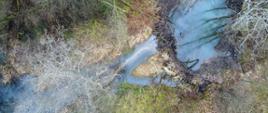 Beaver dam on forest river at early spring time, aerial view. Stream, tree crowns, wetland. Aerial landscape