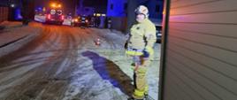 Na drodze stoi wóz straży pożarnej (widoczny jest jego tylna część), a obok niego jeden ze strażaków w ubraniu specjalnym w kolorze piaskowym i w białym hełmie. W oddali widać innych strażaków oraz osoby cywilne, a także karetkę pogotowia i samochód cywilny stojący przed drzewem. Na drodze lezy snieg i stoja pachołki ostrzegawcze. Pora nocna.