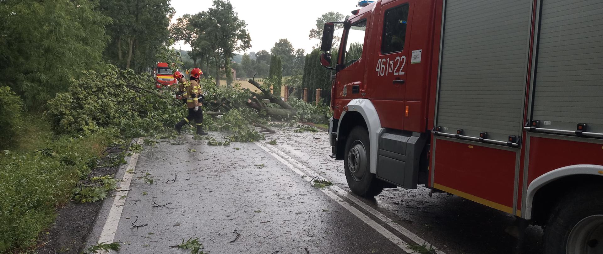 Na miejscu widoczni strażacy usuwający powalone drzewo nad drogą , w tle samochód PSP.