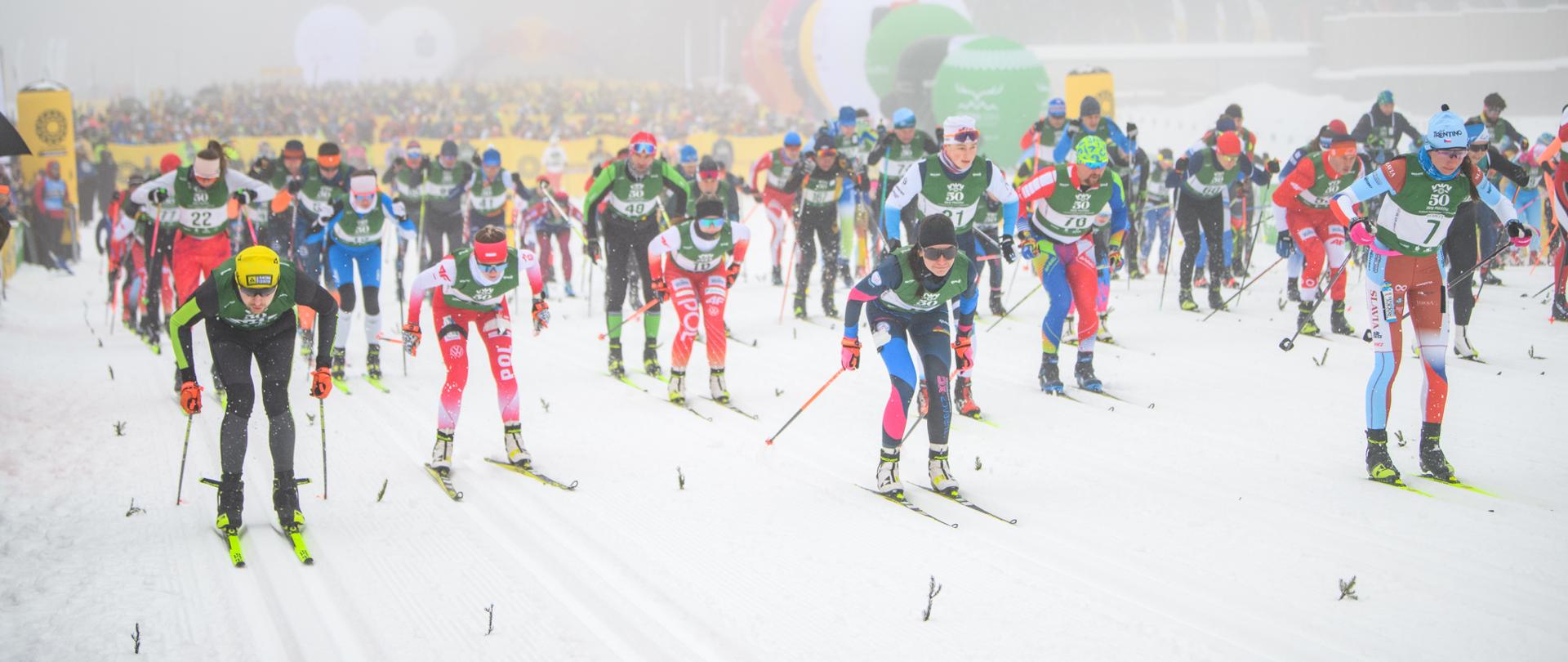 Narciarze podczas biegu.