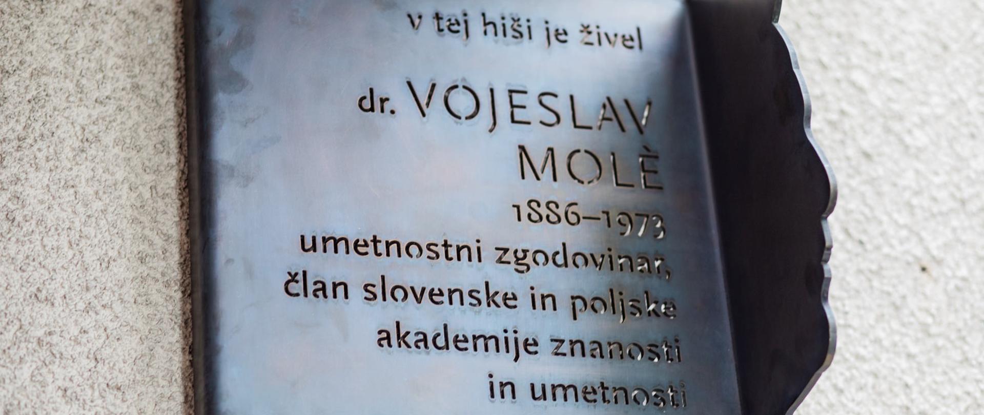 Vojeslav Mole