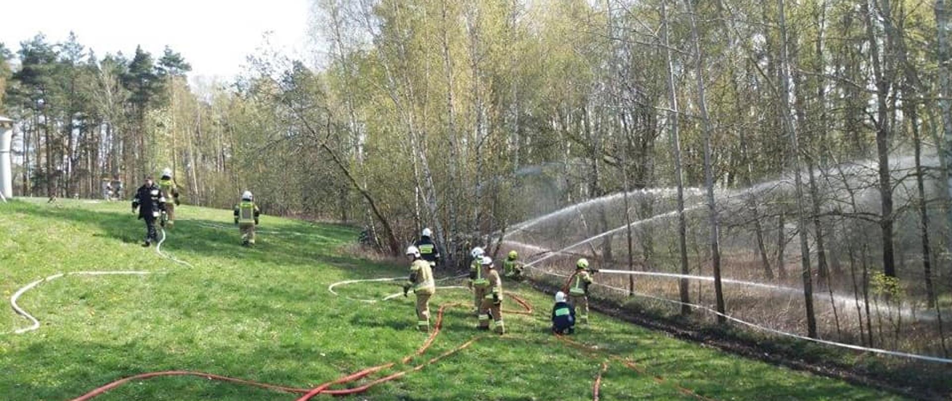Strażacy podczas ćwiczeń w Zamku Bierzgłowskim. Ubrani w ubrania specjalne, wykonują założenie do ćwiczeń. W tle widać pojazdy pożarnicze. W dalszym planie zdjęcia widać pozorowany pożar lasu i działania prowadzone przez strażaków w postaci gaszenia pozorowanego pożaru.