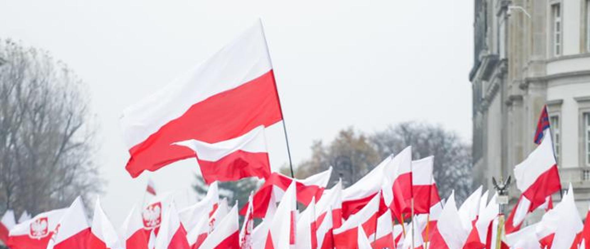 Biało-czerwone flagi