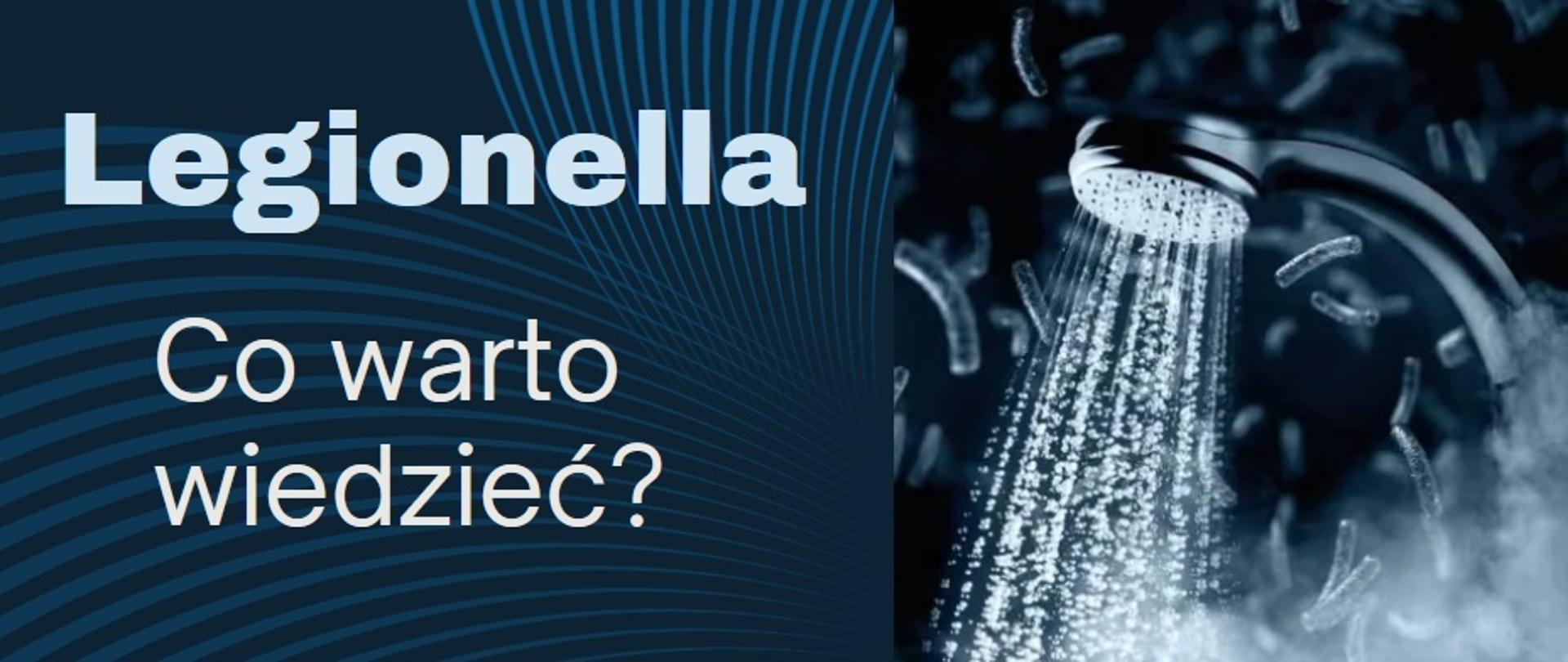 Legionella