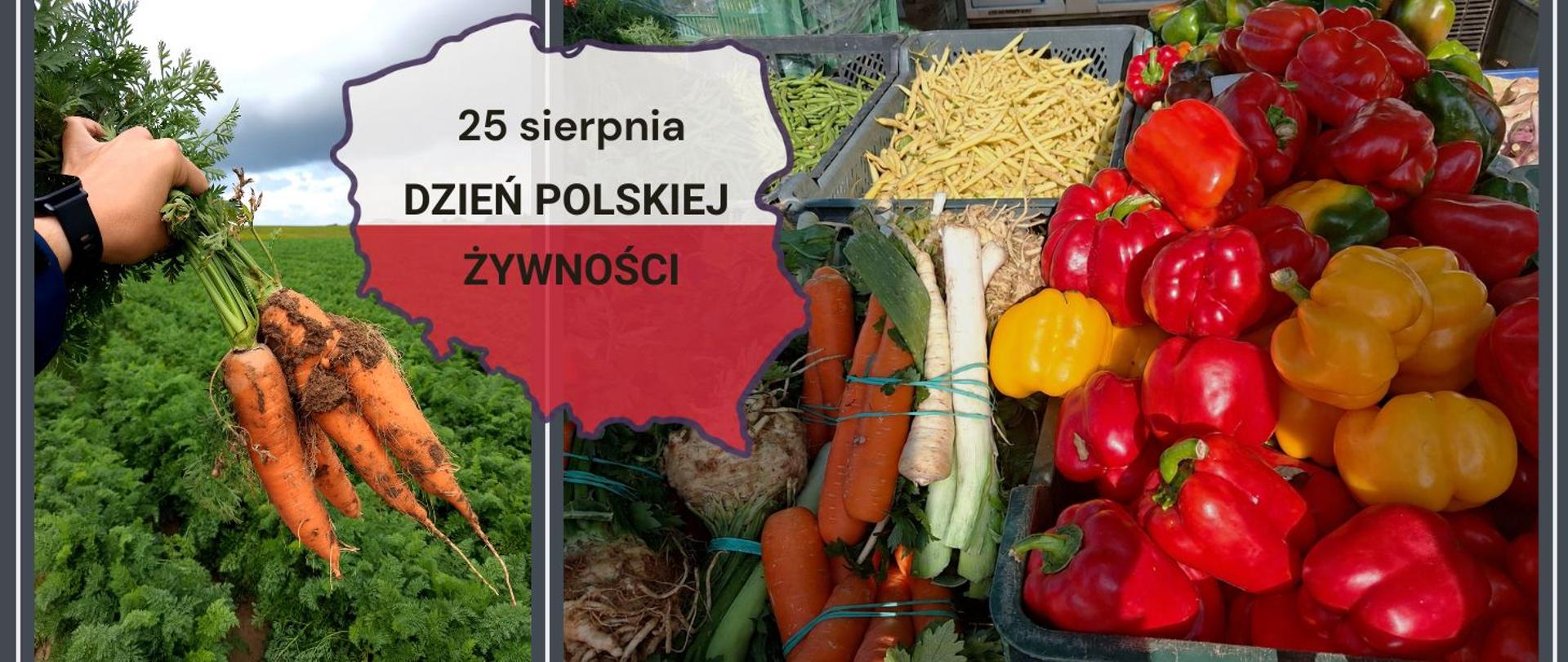 Ikona Dzień PŻ