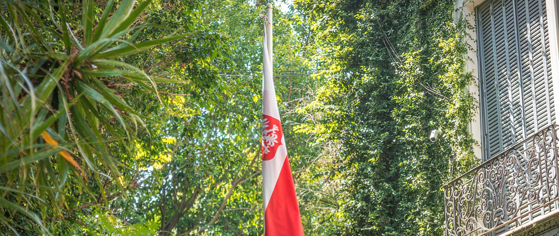 Flaga Polski w ogrodzie