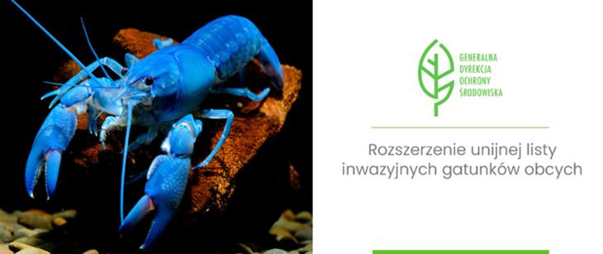 Rozszerzenie listy IGO