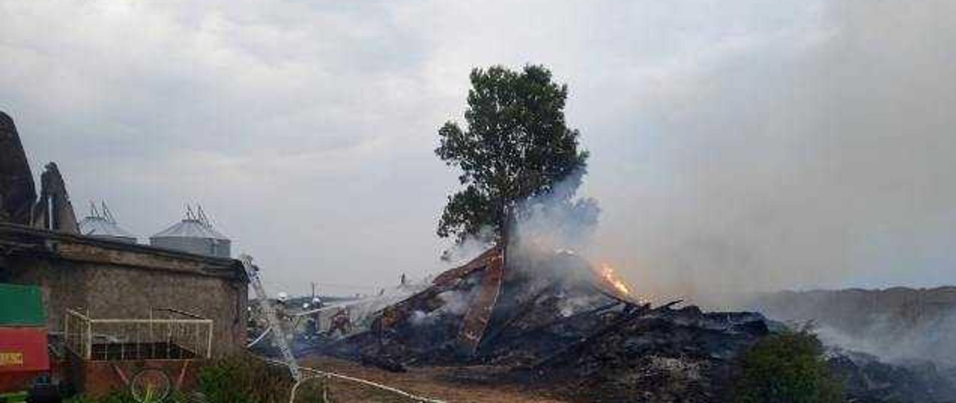 Zdjęcie wykonano w ciągu dnia, na zdjęciu rozwinięte linie gaśnicze, kilku strażaków ubranych w ubrania specjalne i hełmy podaję prąd wody na palące się hałdy zboża i drewna.