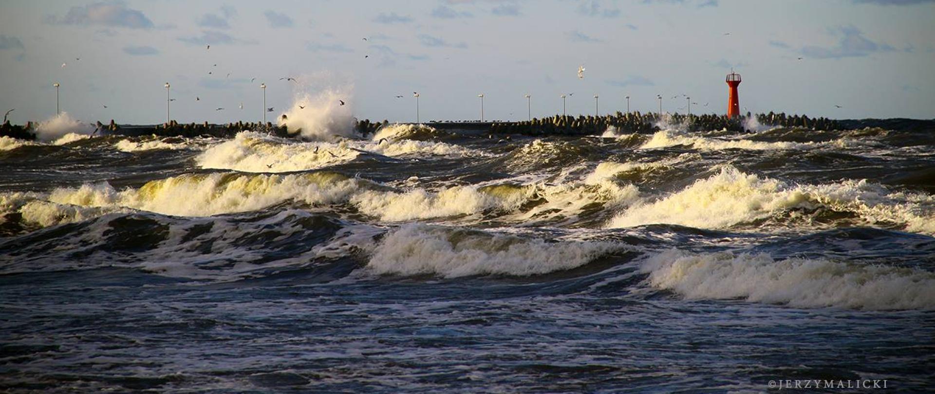 Sustainable shipping for the Blue Growth and protection of our planet_2