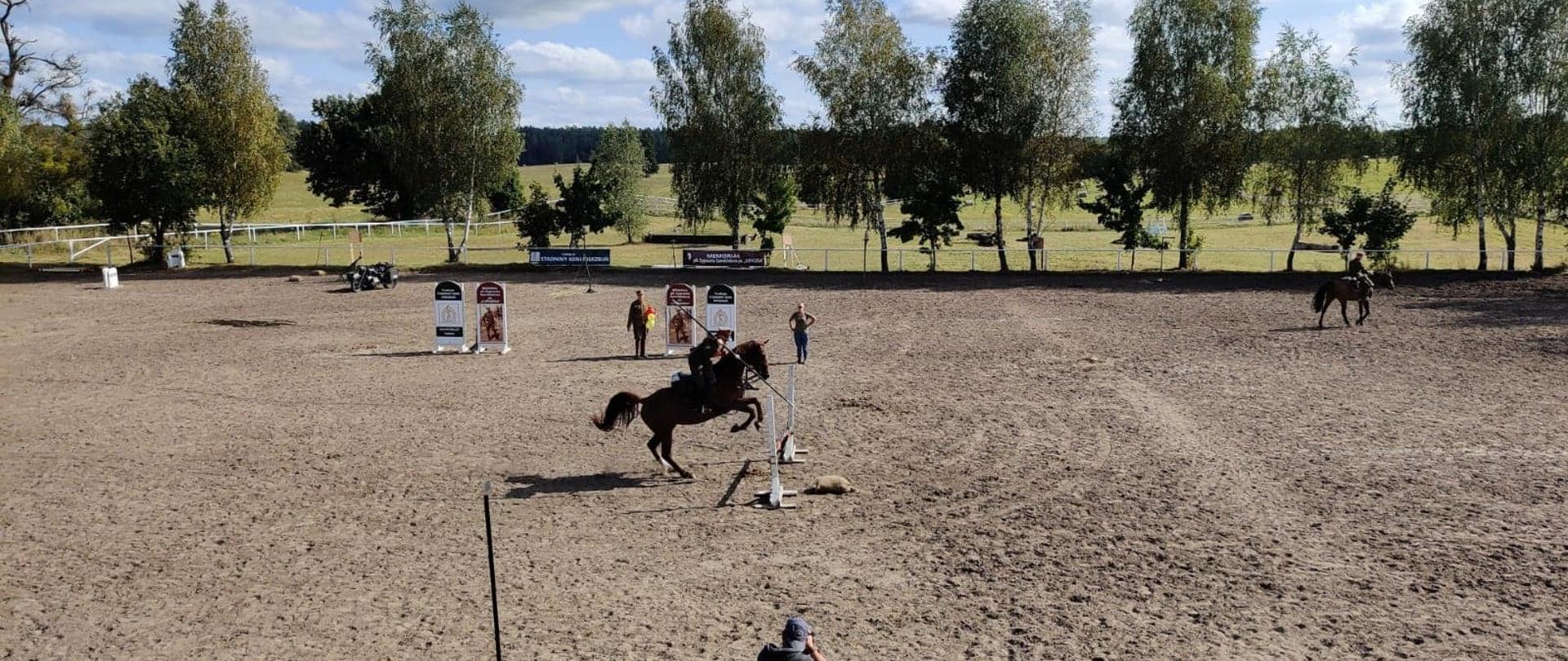 Ułan na koniu skacze przez przeszkody